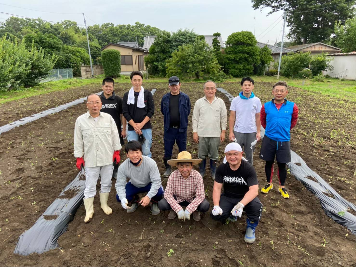 芋の種付け作業