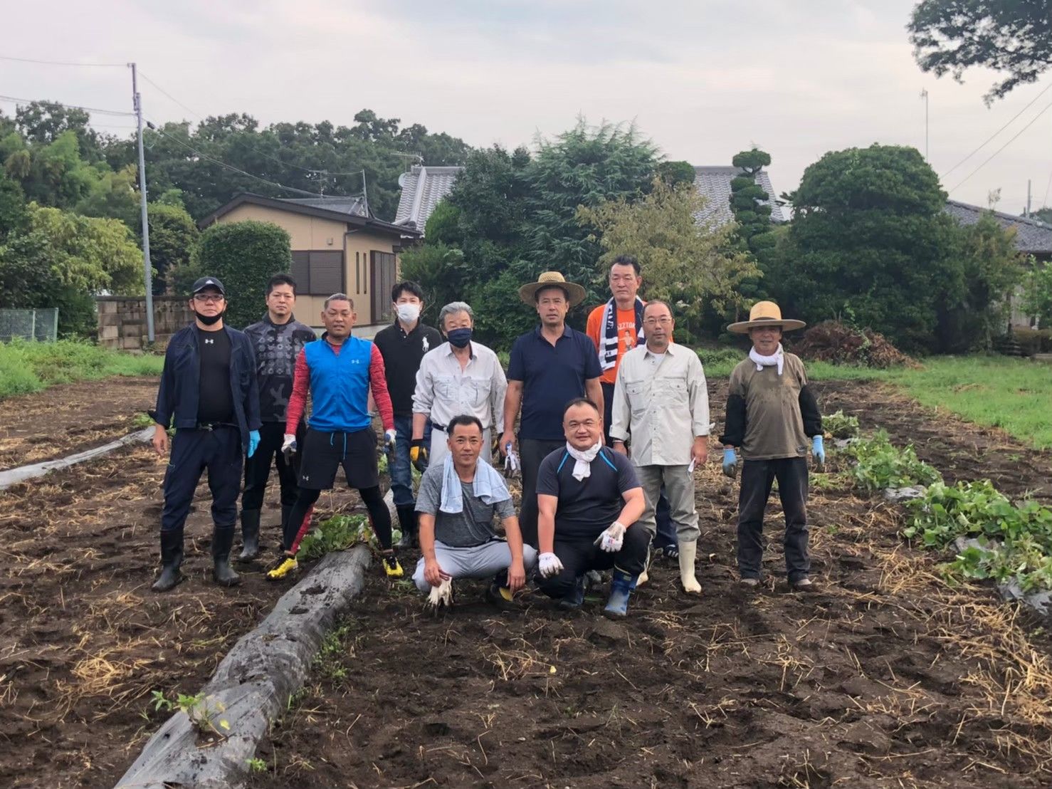 芋の除草作業