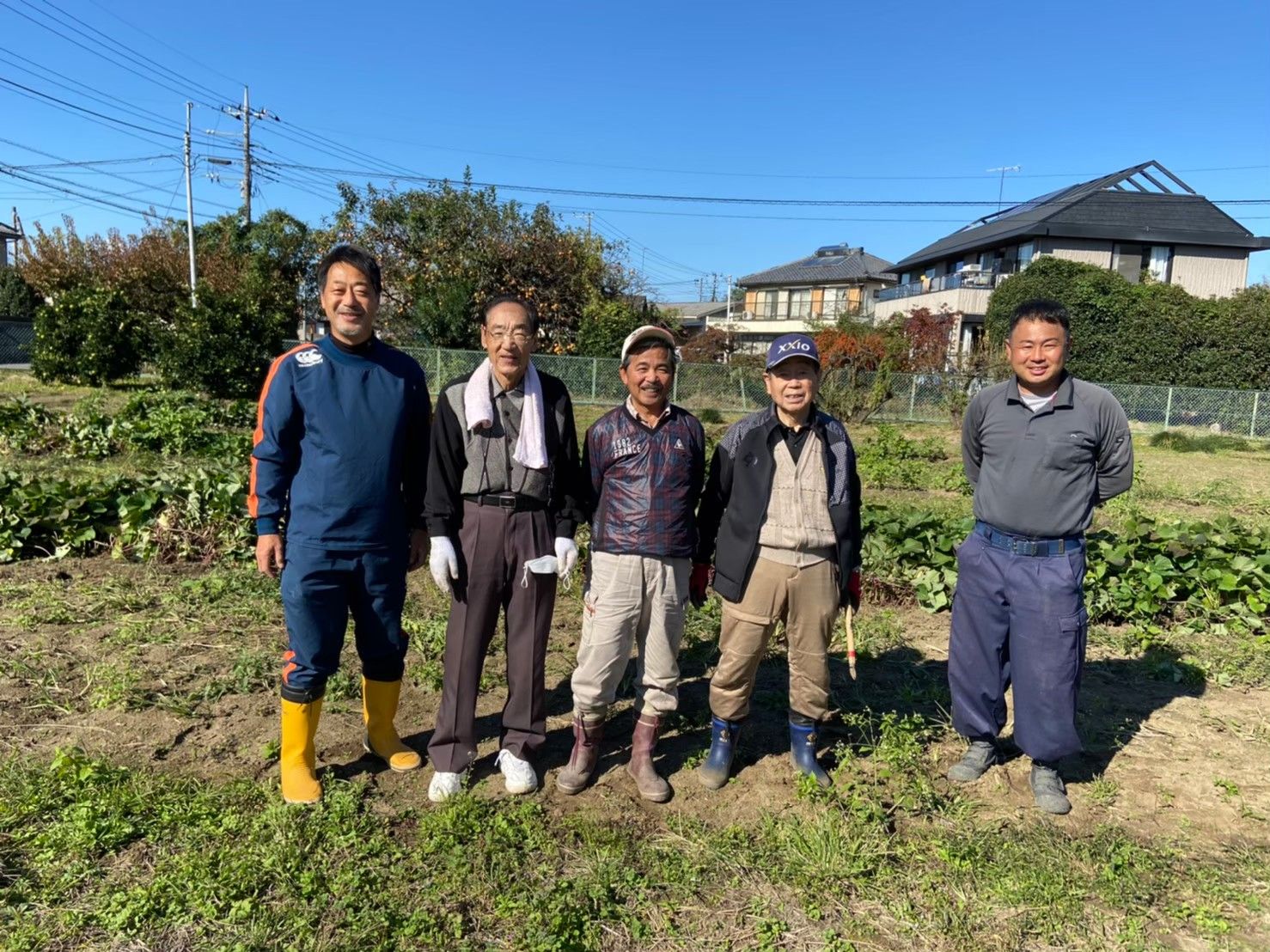 芋の除草作業