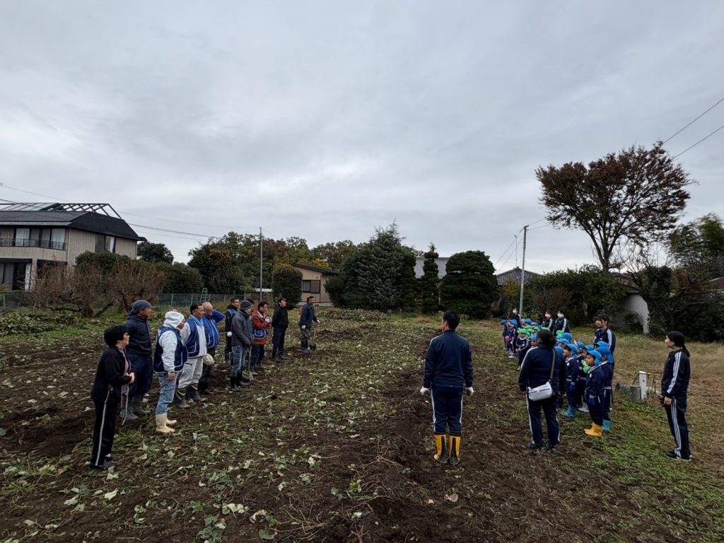 園児の芋掘り体験